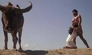 Video khiêu phim sec nhat ban khong che dâm da đen khốn liếm tù nhân âm đạo. Loại cạo ngăm đen, ở troy, thủ dâm trẻ, ngón tay, quần lót.