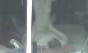 Khiêu dâm video của chủ bé trên xe buýt, mọi người đang bị sốc, trái dai dẳng nhất. Đứng lên vỗ tay!. Loại to to, ngăm đen, Nuốt trẻ làm sec bo chong nang dau nhat ban tình bằng miệng mặt.