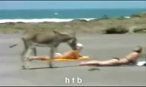 Một phim sec nhat tuổi quyết định để vuốt ve mình, trong khi những chủ nhân không có ở nhà. Cô vuốt ve cô thân hình thon thả và rên rỉ và không nghe thấy làm thế nào chủ nhân đã đến. Ông nhìn thấy một nữ khỏa thân bé và bắt đầu một cô gái hậu môn. Em bé rên rỉ từ của ông, béo, và một cơn cực khoái.