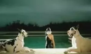 Một cô gái trẻ, ném cái gối pim sec nhat ban với người yêu của mình và kích thích anh ta. Các chàng trai yêu cầu các con mình với ngón tay của mình và liếm lưỡi của mình. Cô bé, mình dây anh ta ở trong tư thế khác nhau.