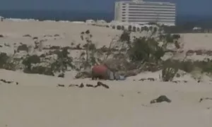 Khiêu dâm Video phim séc nhật hai con đực đang bắt đầu, họ làm tình với những nụ hôn mềm mại. Loại gay, phụ Nữ làm tình bằng miệng hôn.
